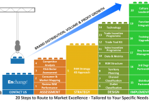Business and Supply Chain Channel Strategy