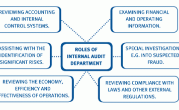 Functional Audits and Health Checks