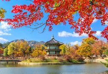 SHIPPING GOODS TO SOUTH KOREA