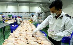 Kiểm Dịch Động Vật Và Sản Phẩm Động Vật