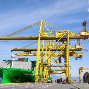 Reliable Domestic Sea Freight Shipping from Da Nang Port to Cat Lai Port