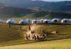 Gửi hàng hóa đi Mông Cổ bằng đường biển giá rẻ