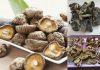 Thực phẩm khô Cần Thơ đi Hàn Quốc