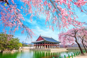 Chuyển phát nhanh từ Cần Thơ đi Hàn Quốc
