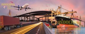 Dịch vụ gửi hàng lẻ LCL bằng đường biển từ Cần Thơ đi Aruba giá rẻ nhất