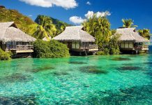 Gửi hàng lẻ LCL từ Cần Thơ đi Jamaica bằng đường biển giá rẻ