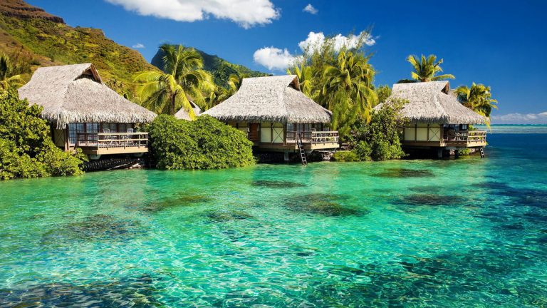 Gửi hàng lẻ LCL từ Cần Thơ đi Jamaica bằng đường biển giá rẻ
