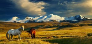 Gửi hàng lẻ từ Cần Thơ đi Mongolia bằng đường biển giá cực rẻ
