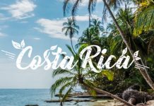 Van chuyen duong bien tu Can Tho di Costa Rica