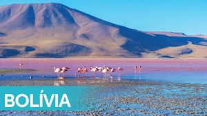 Chuyển phát nhanh Cần Thơ- Bolivia