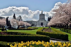Chuyển phát nhanh Cần Thơ đi bang Oregon