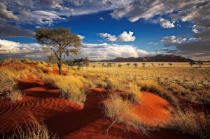 Chuyển phát nhanh đến Namibia