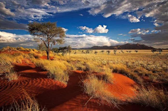 Chuyển phát nhanh đến Namibia