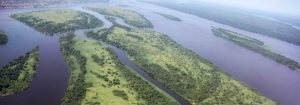 chuyển phát nhanh đi Congo