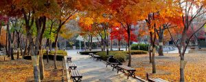 chuyển phát nhanh đi Daegu