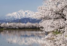 chuyển phát nhanh đi Niigata