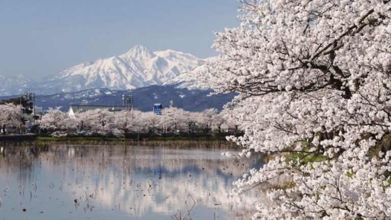 Chuyển phát nhanh từ Cần Thơ đi Niigata (Japan) giá tốt nhất
