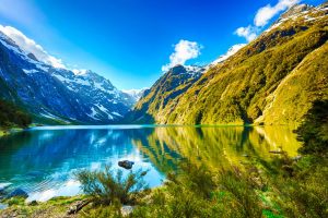 gom hàng lẻ đi New Zealand