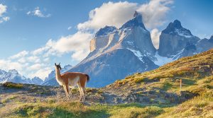 Gửi hàng LCL đi Chile
