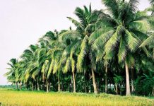 Gửi hàng đường bộ Cần Thơ đi Bến Tre