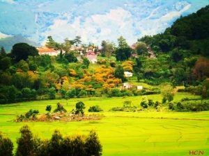 Gửi hàng đường bộ Cần Thơ đi Lâm Đồng