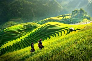 Gửi hàng đường bộ Cần Thơ đi Yên Bái