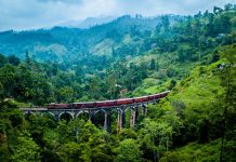 gửi hàng lẻ đi cảng Colombo