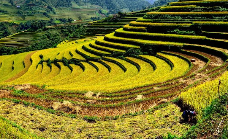 Vận chuyển đường bộ Cần Thơ đi Lào Cai