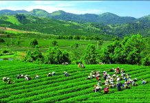 Vận chuyển đường bộ Cần Thơ đi Thái Nguyên