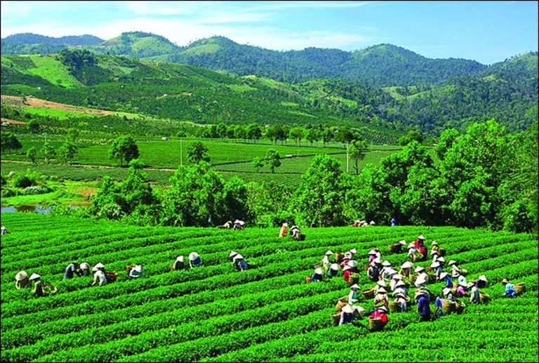 Vận chuyển đường bộ Cần Thơ đi Thái Nguyên