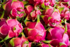 Vận chuyển thanh long Cần Thơ đi Nhật Bản