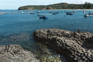 vận tải đường bộ từ Cần Thơ đi Phú Yên