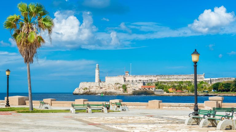 Xuất khẩu gạo từ miền Tây đi Cuba bằng đường biển Xuất khẩu gạo từ miền Tây đi Cuba bằng đường biển