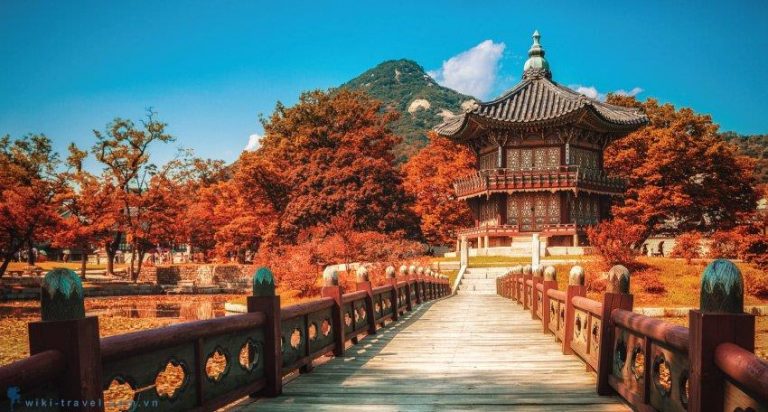 Vận chuyển hàng LCL từ SGN sang INC giá siêu rẻ! Vận chuyển hàng LCL từ SGN sang INC giá siêu rẻ!