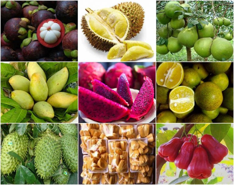 Vận chuyển nông sản miền Tây xuất khẩu bằng đường biển ra thế giới