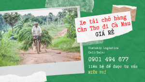 Xe tải chở hàng Cần Thơ đi Cà Mau giá rẻ, uy tín
