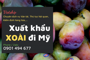 Dịch vụ Vận tải nội địa quốc tế, Thủ tục hải quan, Kiểm định hàng hóa dành cho doanh nghiệp Xuất khẩu xoài