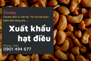 Dịch vụ Vận tải nội địa quốc tế, Thủ tục hải quan, Kiểm định hàng hóa Tại Vietship