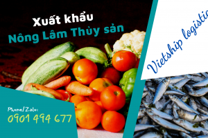 Dịch vụ Vận tải nội địa quốc tế, Thủ tục hải quan, Kiểm định hàng hóa dành cho doanh nghiệp Xuất khẩu nông lâm thủy sản