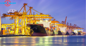 Dịch vụ Vận chuyển Đường biển từ Uruguay về Việt Nam – Chất lượng và Sự đáng tin cậy!
