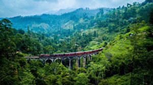 Vận Chuyển Hàng Đường Biển Từ Việt Nam Đi Sri Lanka