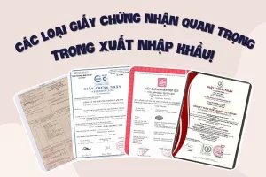Các loại giấy chứng nhận quan trọng trong Xuất Nhập Khẩu