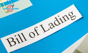 Tất tần tật về B/L - Bill of Lading