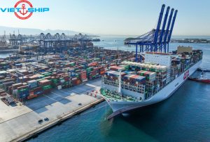 Dịch vụ vận chuyển hàng rời/LCL bằng đường biển từ Việt Nam đi Hy Lạp với giá cước cực tốt!