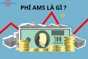 AMS Là Phí Gì, Khi nào cần nộp phí AMS?