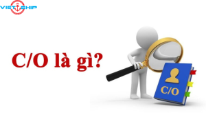 GIẤY CHỨNG NHẬN XUẤT XỨ MẪU A (C/O FORM A)