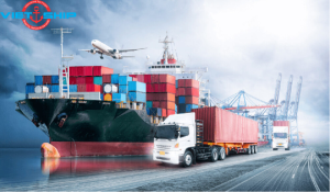 Cước phí và Phụ phí vận chuyển đường biển