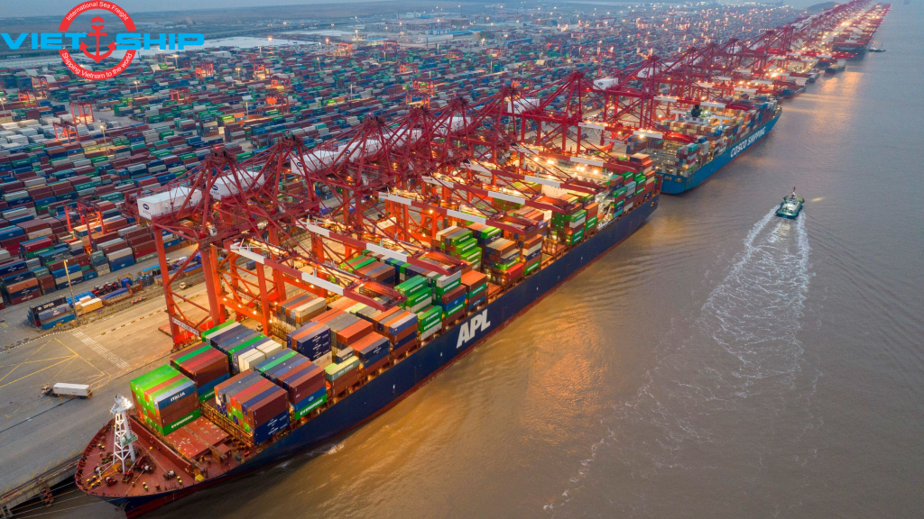 Cảng Thượng Hải – Hải cảng lớn nhất Trung Quốc và toàn cầu