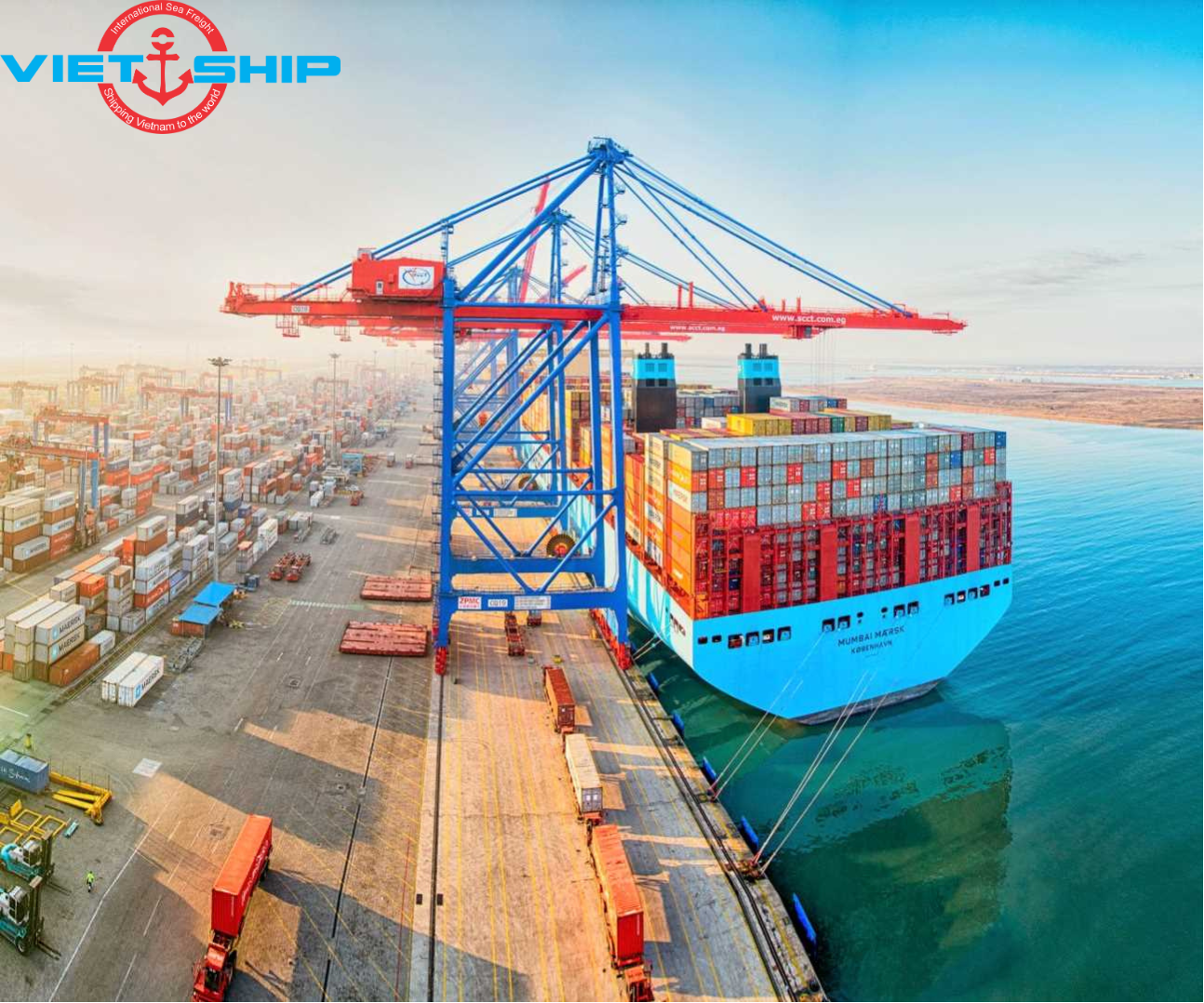 Cảng Thiên Tân – điểm trọng yếu vận chuyển hàng hóa giữa 2 châu lục