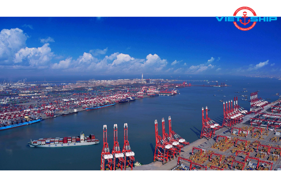 Top 6 cảng lớn nhất thế giới năm 2024 và tầm quan trọng của vận tải biển